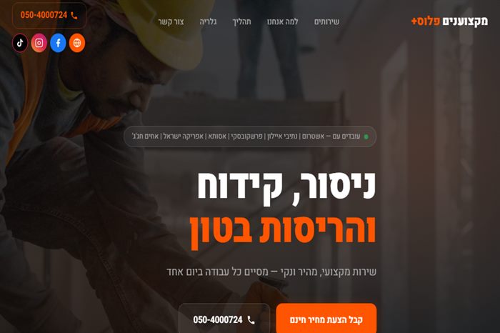 אתר מקצוענים פלוס — עמוד הבית